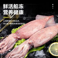 鲜驰 大鱿鱼 冷冻生鲜