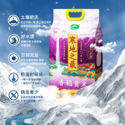 十月稻田 寒地之最香稻贡米箱装东北大米中秋送礼
