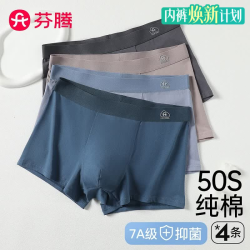 芬腾 男士内裤