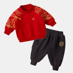 嘟嘟家 儿童拜年服套装国风童装宝宝加绒BZB120DCF256