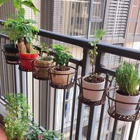 阳台悬挂式花架加粗铁艺栏杆护栏窗台绿萝吊兰简约花盆挂架置物架
