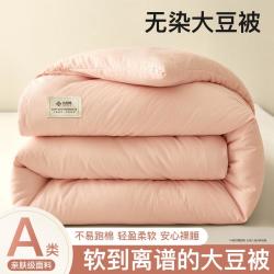 洁丽雅 无染大豆被加厚冬被空调被夏被学生宿舍春秋被四季通用被子被芯