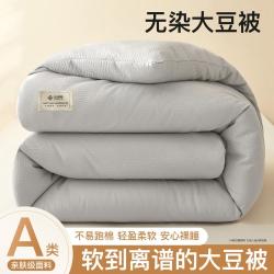 洁丽雅 无染大豆纤维夏被夏凉被秋冬加厚冬被春秋被四季通用被子被芯