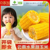 移动端：水果玉米开袋即食免煮早餐代餐零食脆甜玉米棒