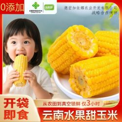 水果玉米开袋即食免煮早餐代餐零食脆甜玉米棒