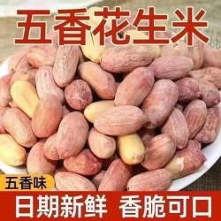 君雀 五香烤花生米袋装休闲零食红皮花生米下酒菜坚果炒货奶香花生熟食