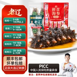 老辽 7A大连即食海参独立包装底辽刺参播一斤装自己吃旗舰店