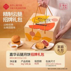 嘉华食品 精制云腿月饼10枚装800g