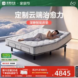 雅兰 床垫弹簧床垫抑菌卧室护脊卧室双人大床记忆棉床垫