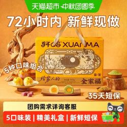 轩妈 蛋黄酥大礼包18枚 990g中秋节代月饼送礼盒