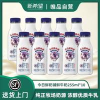 新希望 今日鲜奶铺巴氏杀菌鲜牛奶255ml*7瓶/10瓶学生早餐奶