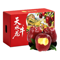 京觅 甘肃天水花牛苹果 5斤