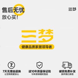 SAMEDREAM 中古全身镜家用落地镜网红异型镜壁挂穿衣镜女生卧室芒果镜子
