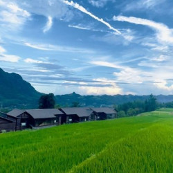 携程度假农庄(张家界缦心联营店) 花颜•大床房[全景露台 田园幽径]2晚(连住)