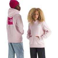 THE NORTH FACE 北面 Evolution Box NSE Pullover Graphic Hoodie 儿童卫衣