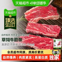 88VIP：泰森 猫超臻选泰森草饲牛肋条原切去骨纯牛肉 200g*2包