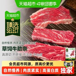 泰森 猫超臻选泰森草饲牛肋条原切去骨纯牛肉 200g*2包