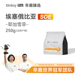 辛鹿咖啡 sinloy/辛鹿臻选 耶加雪菲SOE