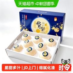 京运达 山东秋月梨 新鲜水果 2.7斤
