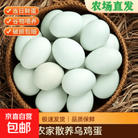京喜 绿壳乌鸡蛋10枚装-单枚35-40克