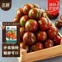 北蔬 小番茄种子苗花皮球绣球七彩盆栽西红柿籽 彩流星小番茄种子20粒