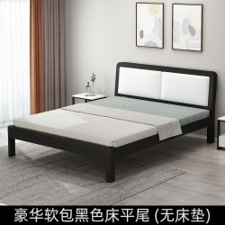 杏德 铁艺床双人床现代简约家用简易1.8铁架床加厚加固加密1.5米单人床