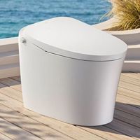 国家补贴：恒洁 旗舰云盾256A 智能马桶 脚感冲水+泡沫盾+零压冲