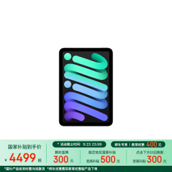 Apple iPad mini 7 2024款 平板电脑（A17 Pro、256GB、WLAN版、深空灰色）