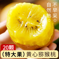 三萌果蔬 正宗黄心猕猴桃大果奇异果当季新鲜水果产地整箱批发价包邮 20枚手挑果【超值推荐 13.8元
