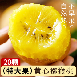 三萌果蔬 正宗黄心猕猴桃大果奇异果当季新鲜水果产地整箱批发价包邮				 20枚手挑果【超值推荐  13.8元