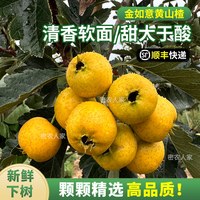 密农人家 金如意黄山楂 新鲜黄果甜山楂