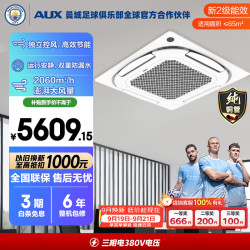 奥克斯 中央空调 5匹变频单冷天花机二级能效 双排铜管 办公室商用空调KF-120QW/BPR3QCBS(B2)