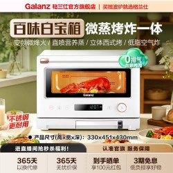 格兰仕 元气炉微蒸烤炸炖一体机家用小型微波炉变频多功能新款RTB