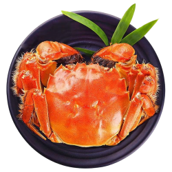 陽澄帝 阳澄帝 大闸蟹 公3.5两母2.5两4对8只装