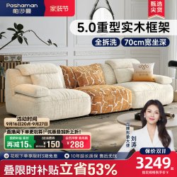 帕沙曼 可拆洗布艺沙发客厅小户型设计师新款拼色沙发直排雪尼尔