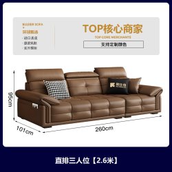 酷比得 真皮沙发客厅2026新款劳伦斯直排沙发小户型现代极简皮沙发