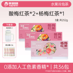 茶甜甜清爽水果袋泡茶杨梅酸梅红茶小茶包办公室茶叶饮料