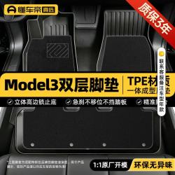 懂车帝 tpe汽车脚垫 特斯拉马年定制-焕新版双层model3脚垫
