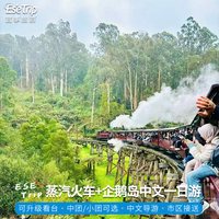 可选网红栈桥澳洲墨尔本普芬比利蒸汽小火车企鹅岛归巢中文一日游