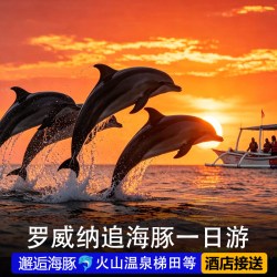 巴厘岛罗威纳追海豚一日游浮潜海钓火山温泉ATV越野车漂流包车