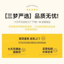SAMEDREAM 三梦超薄实木鞋柜家用入户门口2026新款一体靠墙收纳柜
