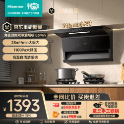 海信 小尺寸顶侧双吸28立方大吸力国标一级家用抽排吸油烟机小户型CXW-300-E3Mini