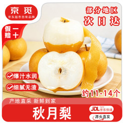 京觅 山东烟台莱阳秋月梨 单果300g+ 8斤