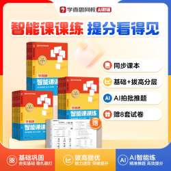 学而思智能课课练 26版小学 年级科目可选