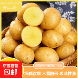 京喜 新鲜土豆现挖现河南正宗黄心当季土豆马铃薯洋芋薯条 黄心土豆小果带箱2斤（净重1.8斤）