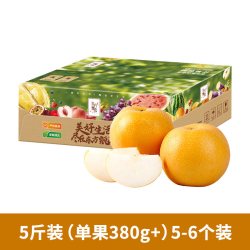 东方甄选 秋月梨鲜果梨子新鲜水果当季整箱时令生鲜中秋礼盒送礼