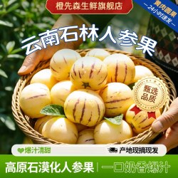 橙先森 云南石林人参果当季整箱包邮黄心圆果肉树上熟七彩人叁果新鲜水果