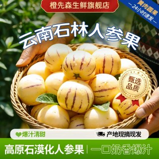橙先森 云南石林人参果当季整箱包邮黄心圆果肉树上熟七彩人叁果新鲜水果