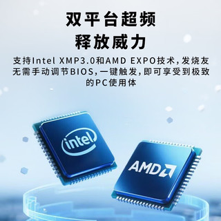 技嘉 DDR5内存条