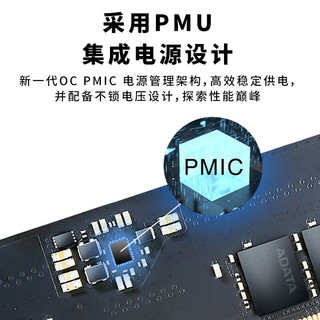 技嘉 DDR5内存条